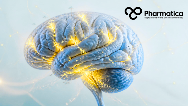 Pharmatica image showing an anatomically accurate human brain with subtle neural activation inspired by functional MRI imaging, representing psychedelic biotech, mental health therapeutics, CNS drug discovery, and AI-enabled pharmaceutical innovation.
