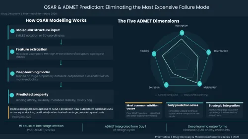 An infographic titled "QSAR & ADMET Prediction: Eliminating the Most Expensive Failure Mode" by Pharmatica.Left Side ("How QSAR Modelling Works"): A vertical flowchart outlining a four-step pipeline: Molecular structure input (SMILES or 3D coordinates) $\rightarrow$ Feature extraction (descriptors like MW, logP) $\rightarrow$ Deep learning model (trained on large datasets) $\rightarrow$ Predicted property (binding affinity, toxicity, etc.).Right Side ("The Five ADMET Dimensions"): A circular radar chart map