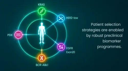 Precision oncology biomarker strategy graphic showing KRAS, HER2-low, EGFR Exon20, BCR-ABL1, and PDX models used for patient selection, translational research, and oncology NME development.