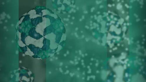 Antibody-drug conjugate (ADC) visualisation for oncology NME development, highlighting preclinical pharmacology, translational modelling, tumour targeting, payload characterisation, and innovative cancer therapeutics.