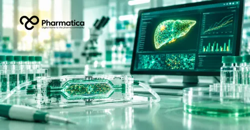 Pharmatica close-up image of a microfluidic liver-chip model with human liver cells representing human-relevant preclinical toxicity testing in drug discovery.