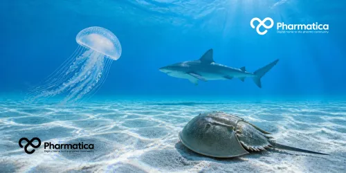 Pharmatica image of a shark, translucent jellyfish, and horseshoe crab in a sunlit underwater marine environment, illustrating marine biotechnology and pharmaceutical research.